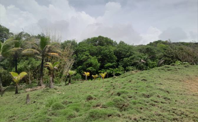 Investing/Development for Sale Palenque. Photo#7 Investing/Development for Sale Palenque. Photo#7