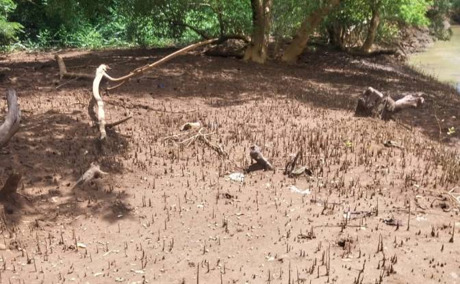 Land Lot for Sale - Andrafia, Madagascar