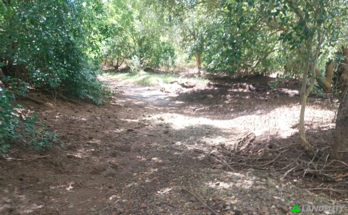 Land Lot for Sale Aeroport international de Nosy Be-Fascene, Rte De Lest, Andrafia, Nosy-Be, Diana, Madagascar. Photo 10
