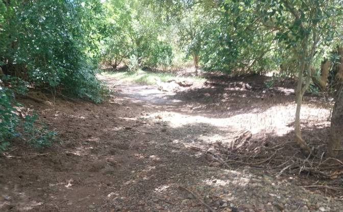 Land Lot for Sale Aeroport international de Nosy. Photo#10 Land Lot for Sale Aeroport international de Nosy. Photo#10