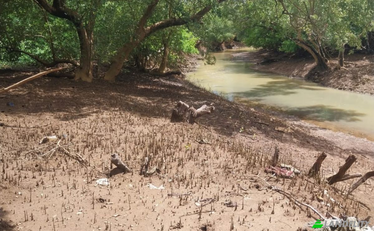 Land Lot for Sale Aeroport international de Nosy Be-Fascene, Rte De Lest, Andrafia, Nosy-Be, Diana, Madagascar. Photo 11