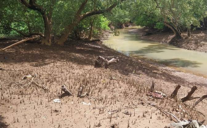 Land Lot for Sale Aeroport international de Nosy. Photo#11 Land Lot for Sale Aeroport international de Nosy. Photo#11