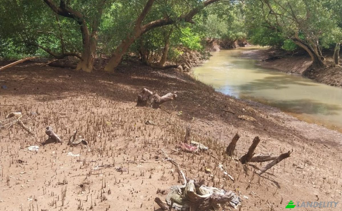 Land Lot for Sale Aeroport international de Nosy Be-Fascene, Rte De Lest, Andrafia, Nosy-Be, Diana, Madagascar. Photo 12