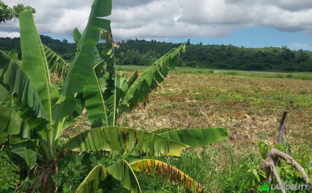 Land Lot for Sale Aeroport international de Nosy Be-Fascene, Rte De Lest, Andrafia, Nosy-Be, Diana, Madagascar. Photo 14