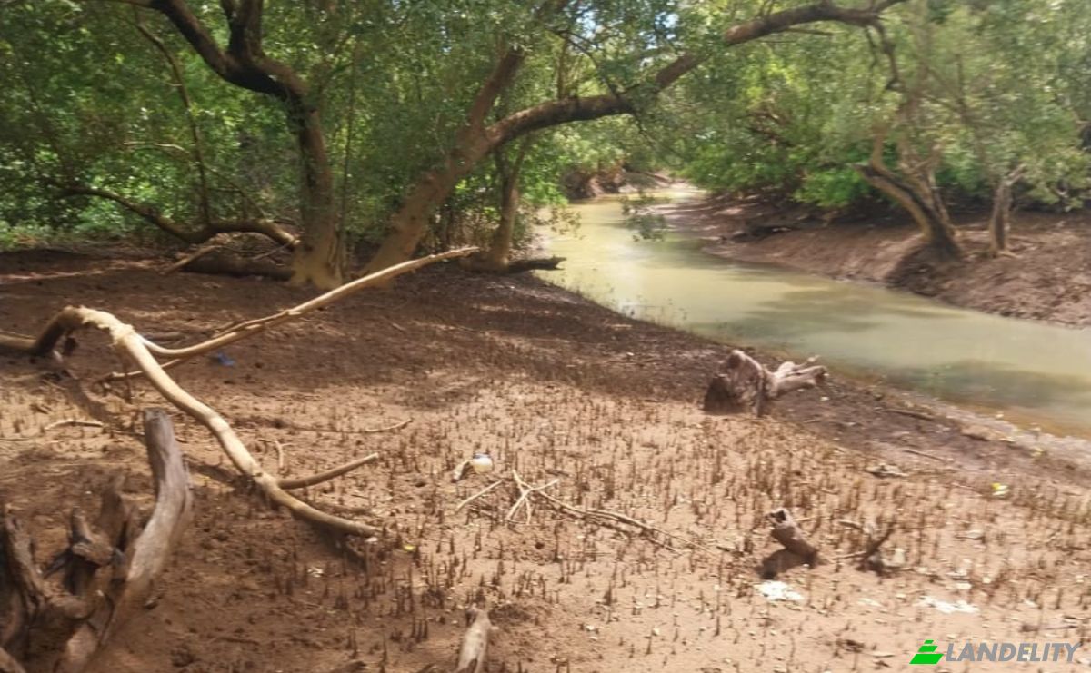 Land Lot for Sale Aeroport international de Nosy Be-Fascene, Rte De Lest, Andrafia, Nosy-Be, Diana, Madagascar. Photo 15