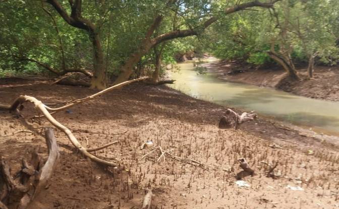 Land Lot for Sale Aeroport international de Nosy. Photo#15 Land Lot for Sale Aeroport international de Nosy. Photo#15