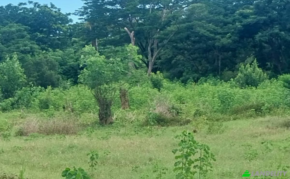 Land Lot for Sale Aeroport international de Nosy Be-Fascene, Rte De Lest, Andrafia, Nosy-Be, Diana, Madagascar. Photo 17