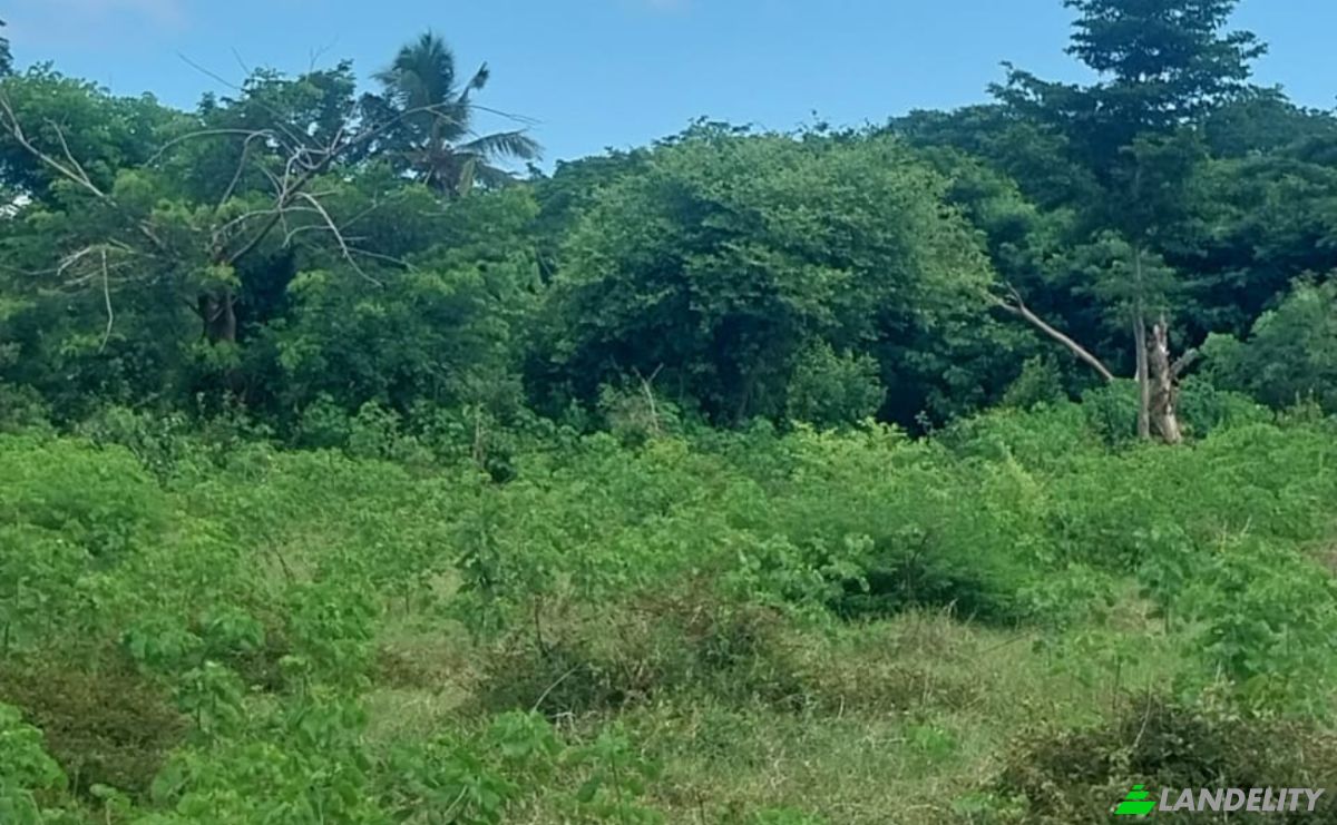 Land Lot for Sale Aeroport international de Nosy Be-Fascene, Rte De Lest, Andrafia, Nosy-Be, Diana, Madagascar. Photo 18
