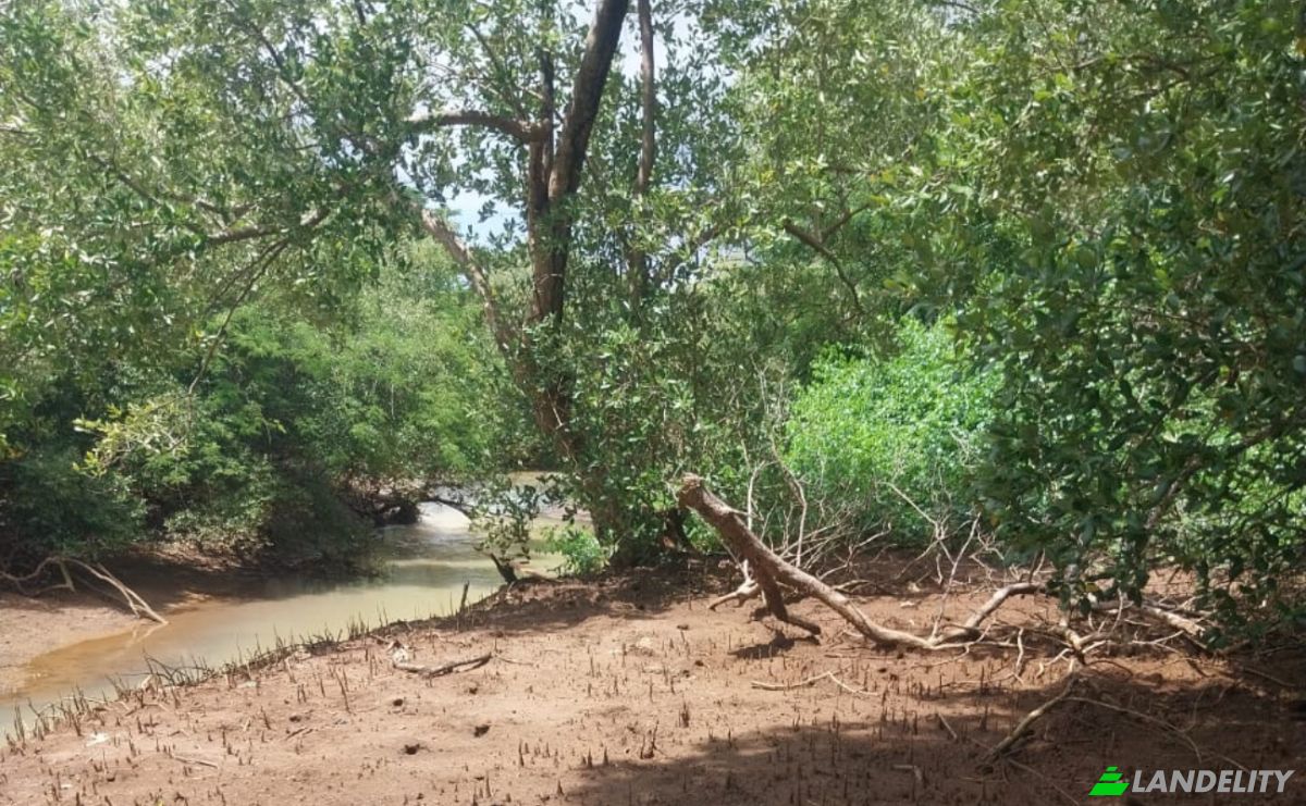 Land Lot for Sale Aeroport international de Nosy Be-Fascene, Rte De Lest, Andrafia, Nosy-Be, Diana, Madagascar. Photo 3