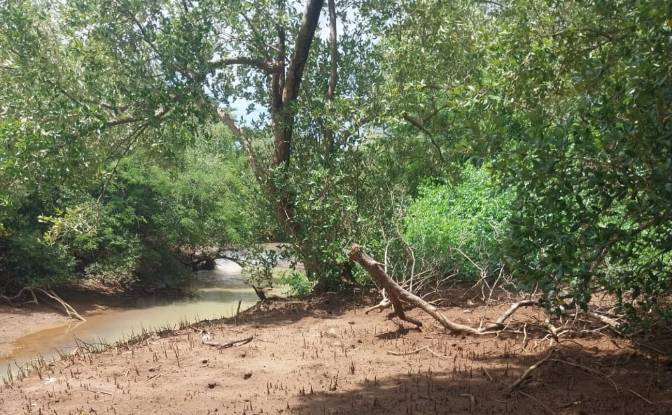 Land Lot for Sale Aeroport international de Nosy. Photo#3 Land Lot for Sale Aeroport international de Nosy. Photo#3