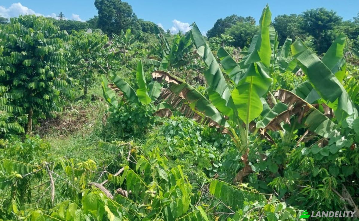 Land Lot for Sale Aeroport international de Nosy Be-Fascene, Rte De Lest, Andrafia, Nosy-Be, Diana, Madagascar. Photo 4