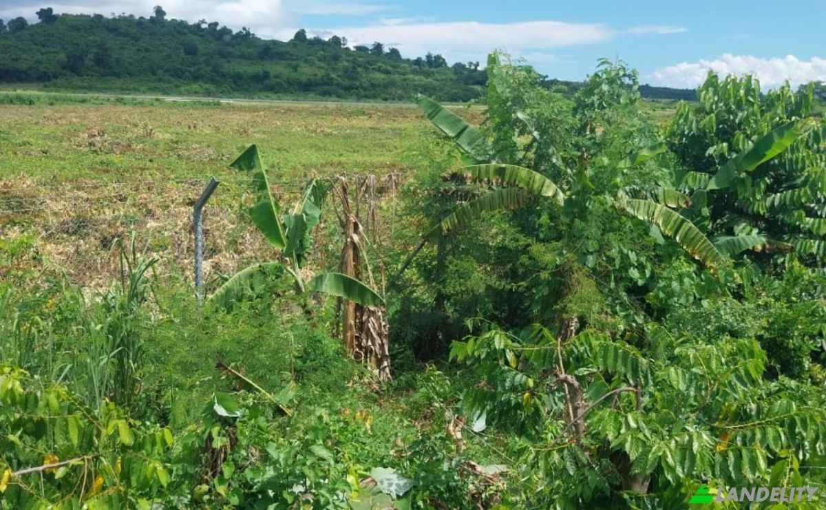 Land Lot for Sale Aeroport international de Nosy Be-Fascene, Rte De Lest, Andrafia, Nosy-Be, Diana, Madagascar. Photo 5
