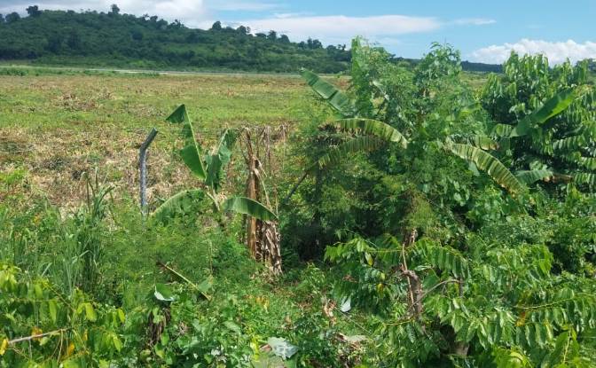 Land Lot for Sale Aeroport international de Nosy. Photo#5 Land Lot for Sale Aeroport international de Nosy. Photo#5