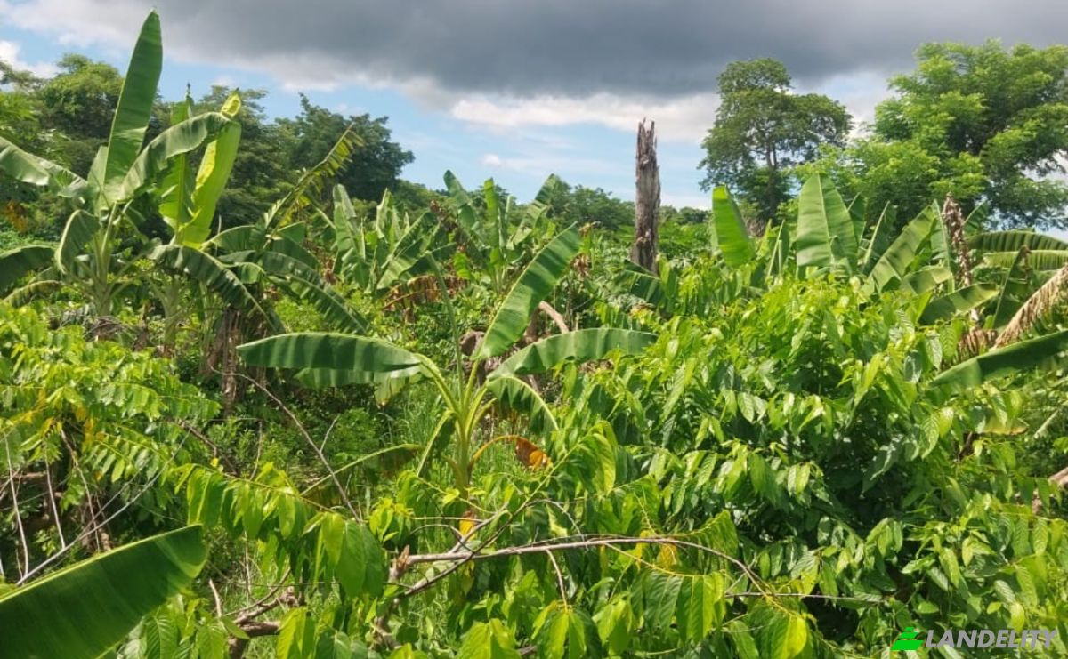 Land Lot for Sale Aeroport international de Nosy Be-Fascene, Rte De Lest, Andrafia, Nosy-Be, Diana, Madagascar. Photo 6