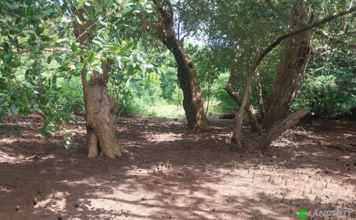 Land Lot for Sale Aeroport international de Nosy Be-Fascene, Rte De Lest, Andrafia, Nosy-Be, Diana, Madagascar. Photo 7