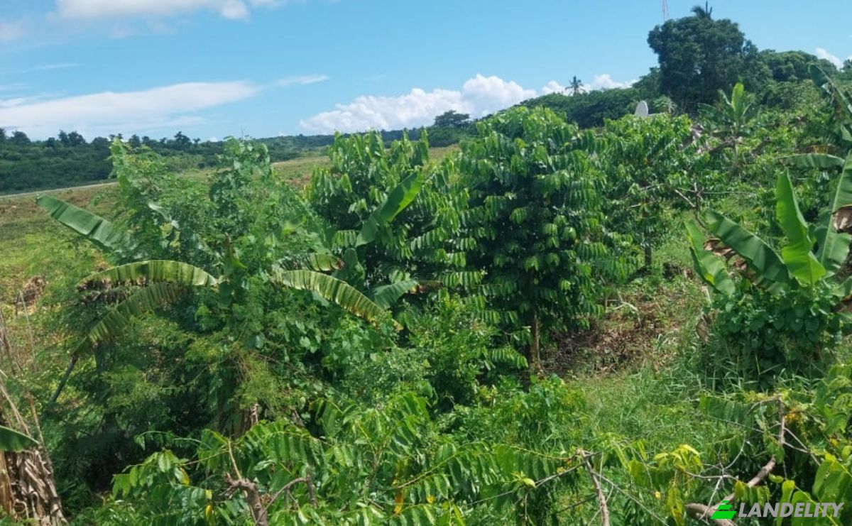 Land Lot for Sale Aeroport international de Nosy Be-Fascene, Rte De Lest, Andrafia, Nosy-Be, Diana, Madagascar. Photo 9