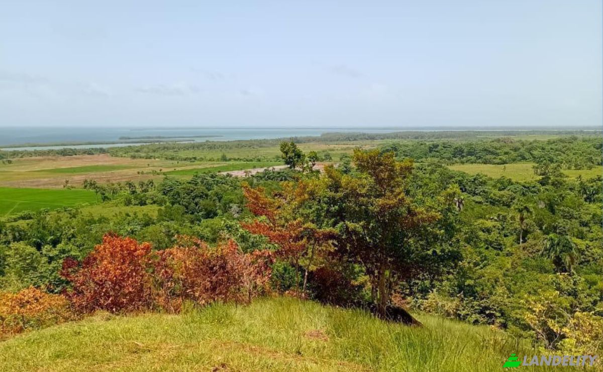 Lote de terreno à venda Ctra Miches-Sabana de la Mar, la Gina, Miches, El Seibo Province, Dominican Republic. foto 3