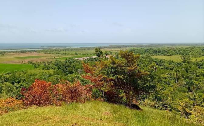 Lote de terreno à venda Ctra Miches-Sabana de la. foto#3