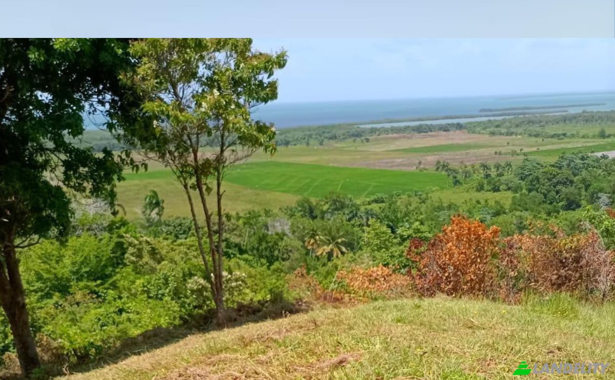 Lote de terreno à venda Ctra Miches-Sabana de la Mar, la Gina, Miches, El Seibo Province, Dominican Republic. foto 4