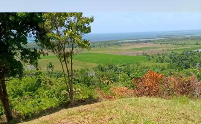 Lote de terreno à venda Ctra Miches-Sabana de la. foto#4