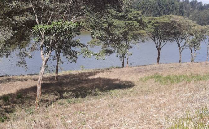 Investing/Development for Sale Juja, Ruiru. Photo#3 Investing/Development for Sale Juja, Ruiru. Photo#3