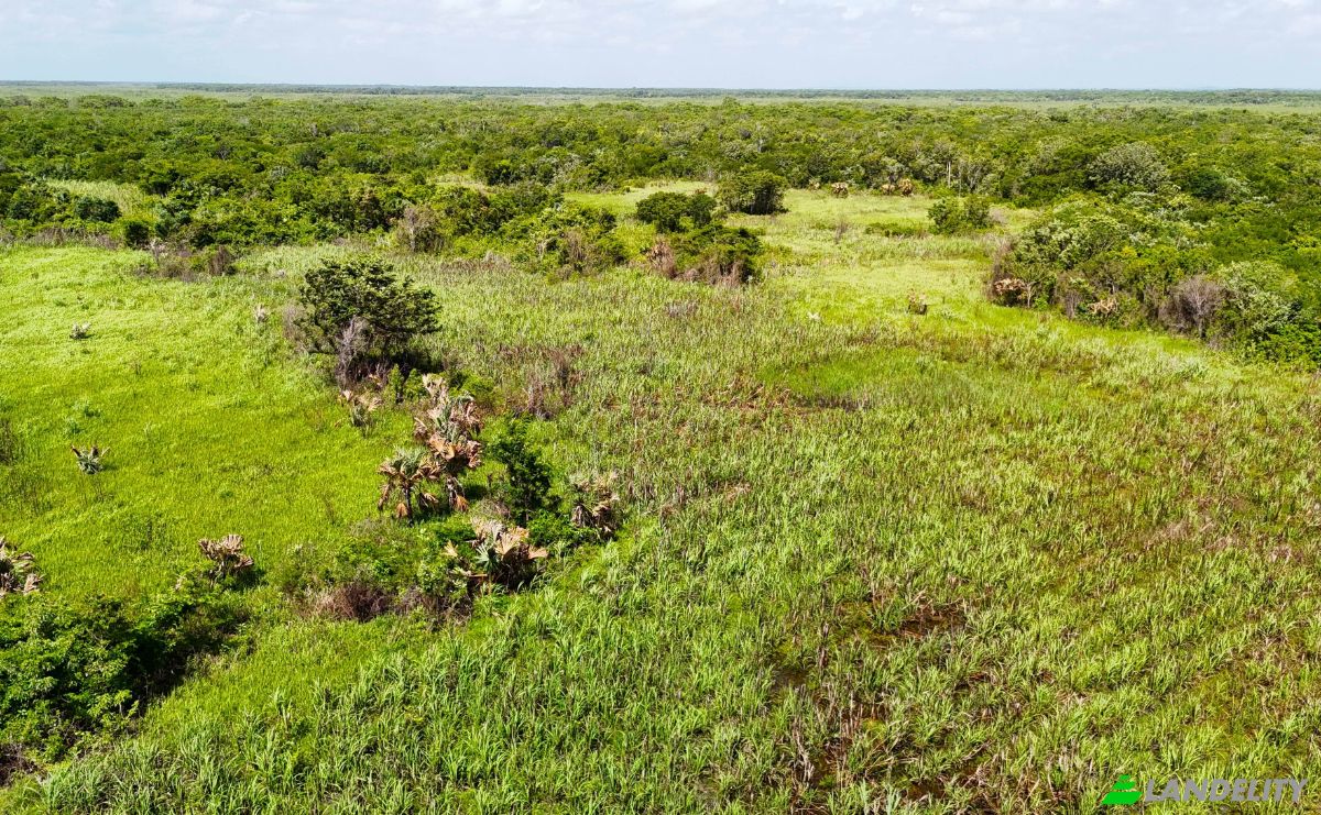 Investing/Development for Sale Corozal-Progresso Rd, Progresso, Corozal District, Belize. Photo 2