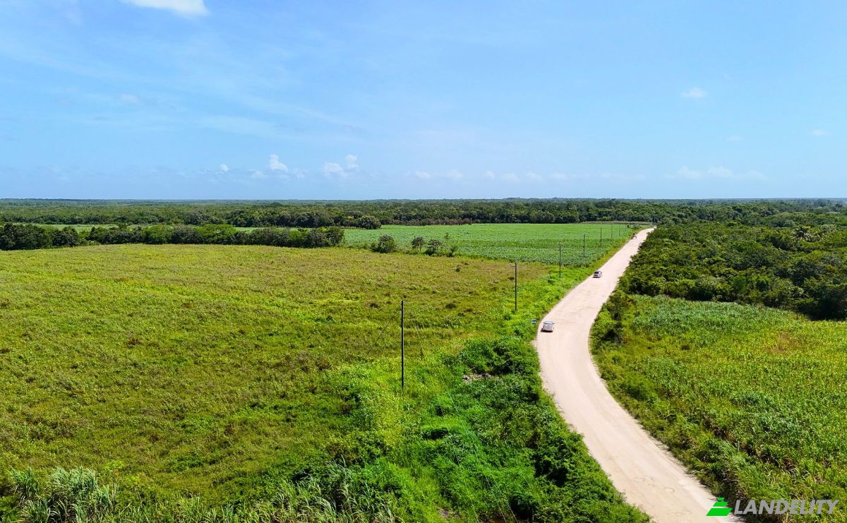 Investing/Development for Sale Corozal-Progresso Rd, Progresso, Corozal District, Belize. Photo 3
