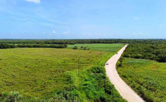 Investing/Development for Sale Corozal-Progresso. Photo#3