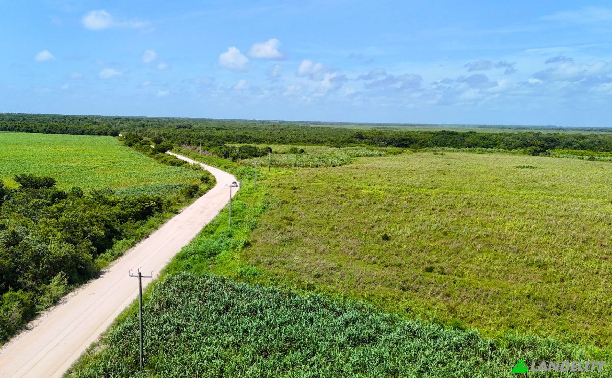 Investing/Development for Sale Corozal-Progresso Rd, Progresso, Corozal District, Belize. Photo 4