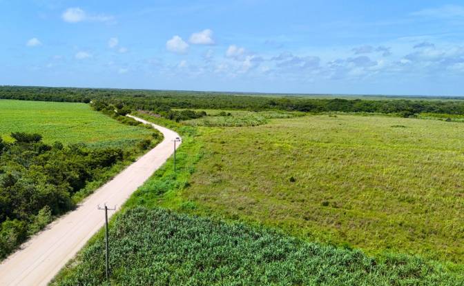 Investing/Development for Sale Corozal-Progresso. Photo#4