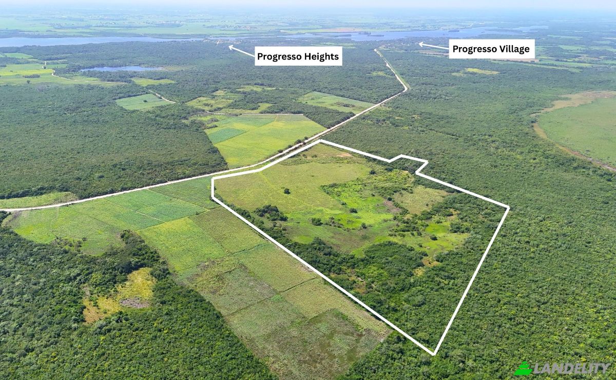 Investing/Development for Sale Corozal-Progresso Rd, Progresso, Corozal District, Belize. Photo 5
