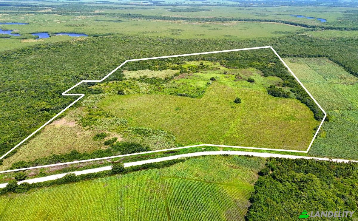 Investing/Development for Sale Corozal-Progresso Rd, Progresso, Corozal District, Belize. Photo 6