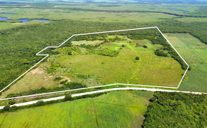 Investing/Development for Sale Corozal-Progresso. Photo#6