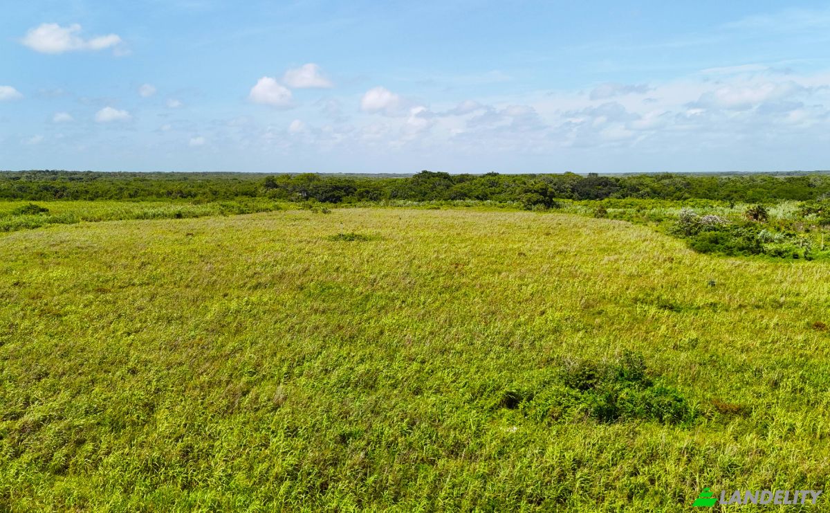 Investing/Development for Sale Corozal-Progresso Rd, Progresso, Corozal District, Belize. Photo 8