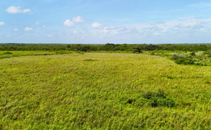 Investing/Development for Sale Corozal-Progresso. Photo#8
