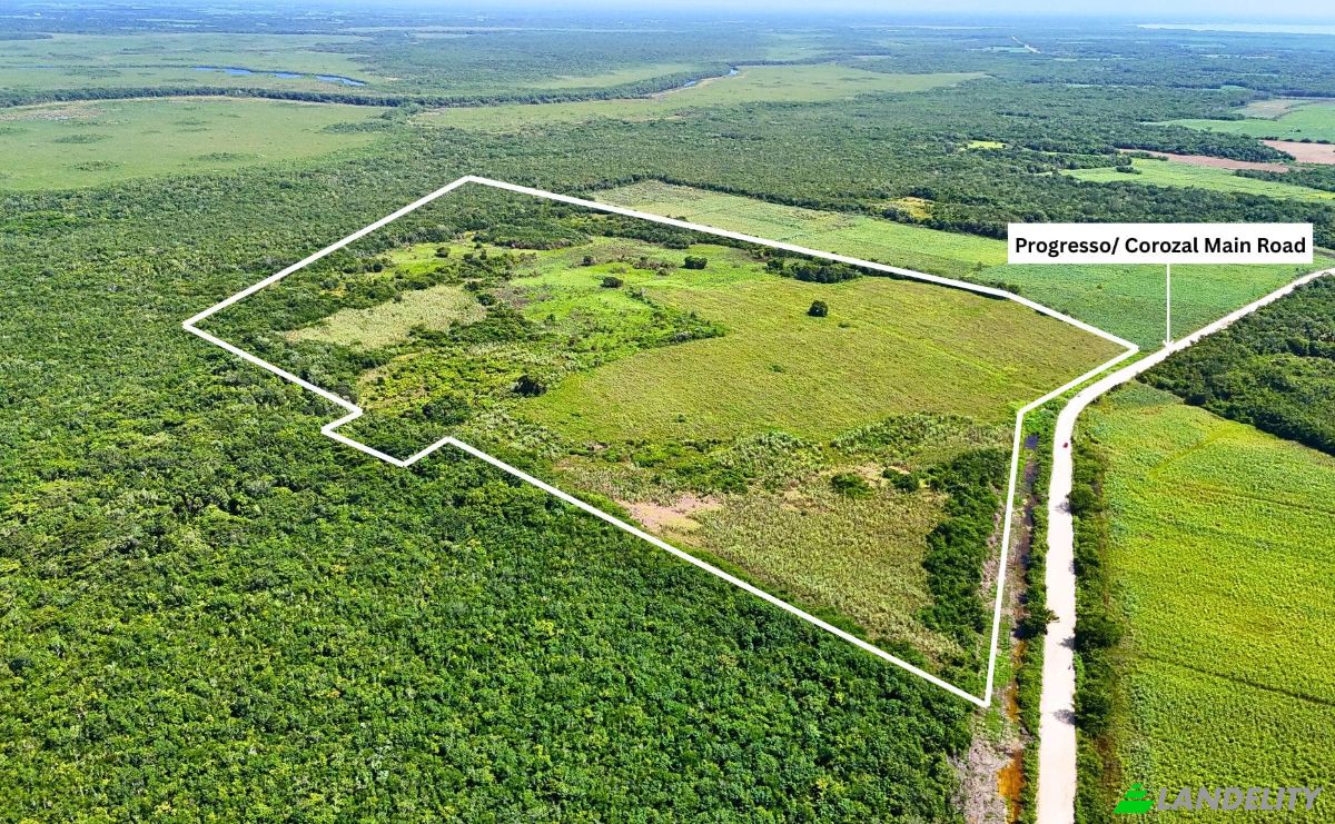 Investing/Development for Sale Corozal-Progresso Rd, Progresso, Corozal District, Belize. Photo 9