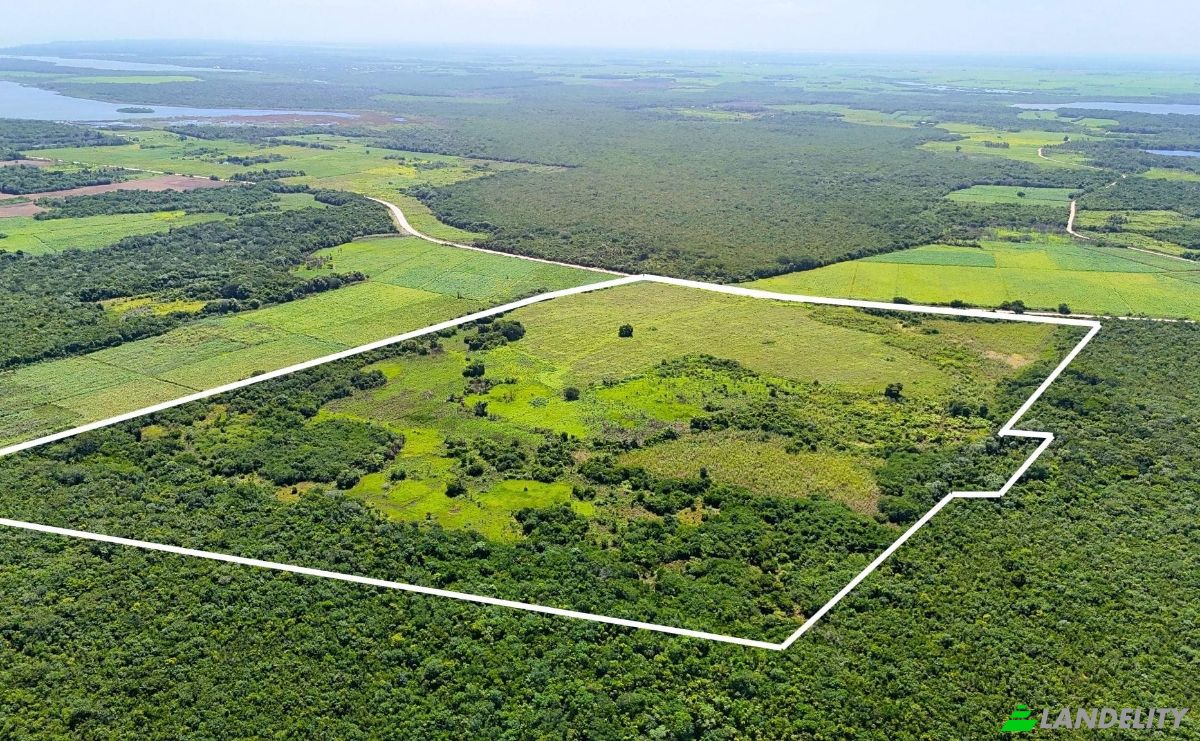 Investing/Development for Sale Corozal-Progresso Rd, Progresso, Corozal District, Belize. Photo 1
