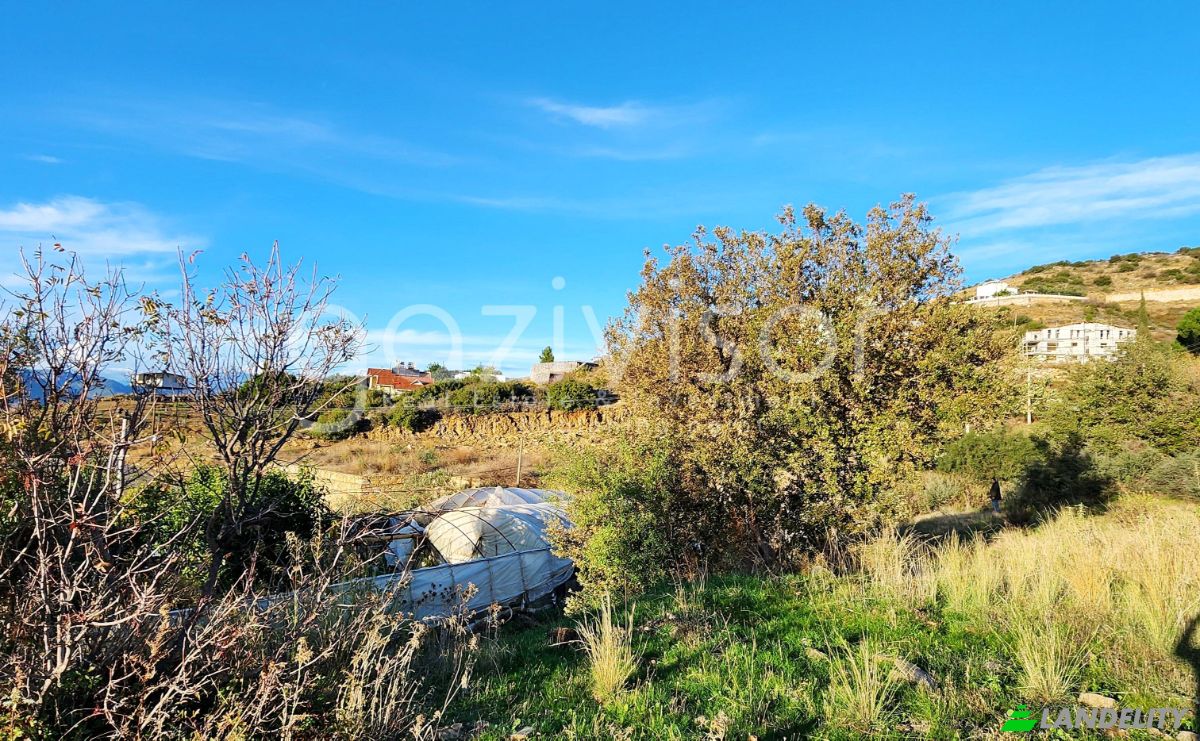 Działka na sprzedaż Koru, Isimsiz Yol, 07900 Gazipasa Antalya, Gazipasa Antalya, Gazipasa, Antalya, Turkiye. Zdjęcie 12