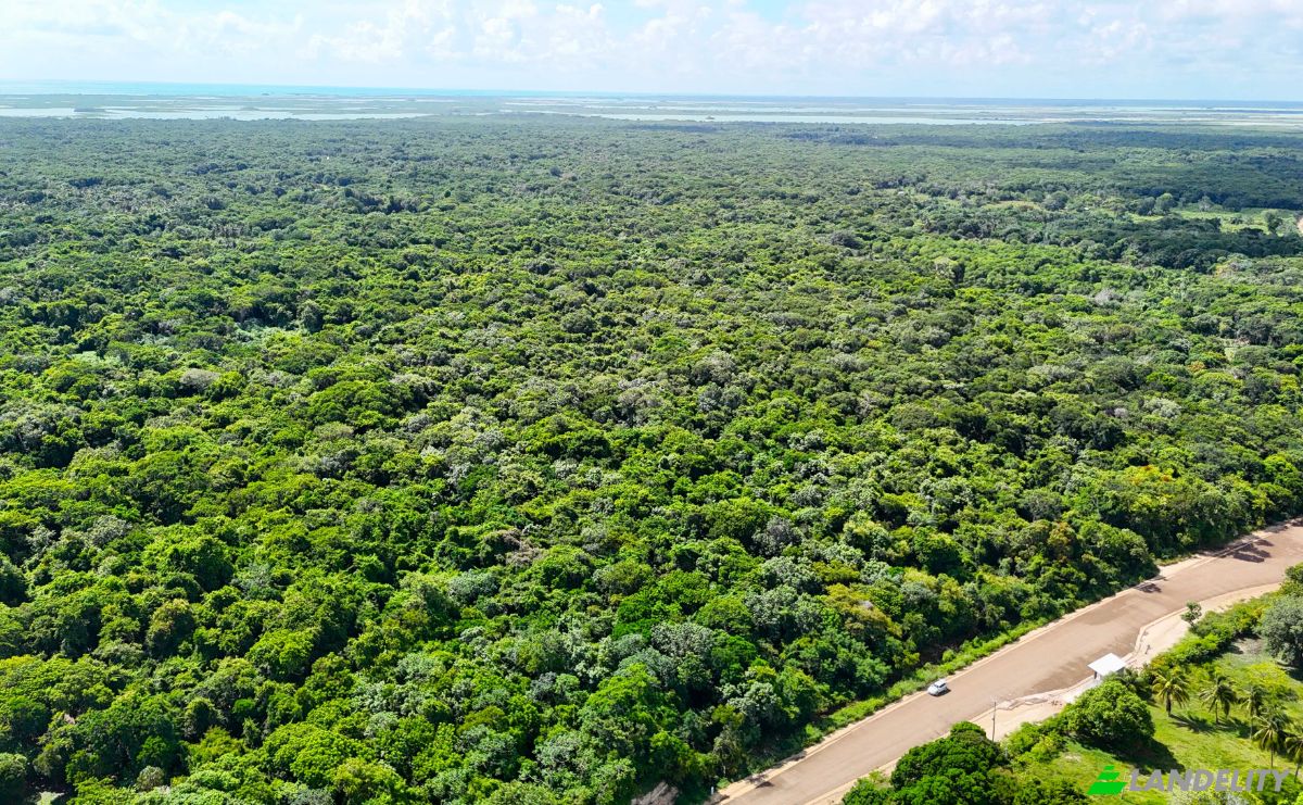 Lote de terreno en venta Chunox Sarteneja Road, Sarteneja, Corozal District, Belize. Foto 3