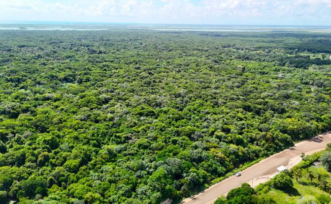 Lote de terreno en venta Chunox Sarteneja Road. Foto#3