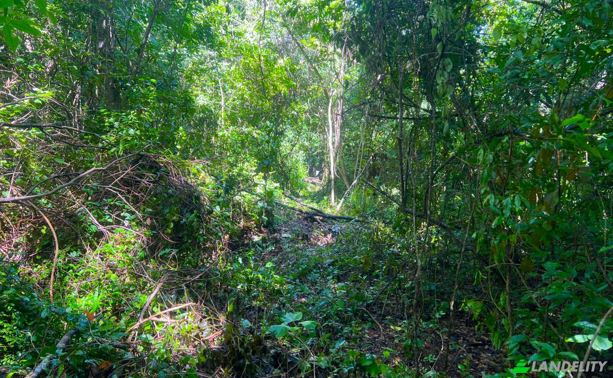 Lote de terreno en venta Chunox Sarteneja Road, Sarteneja, Corozal District, Belize. Foto 5