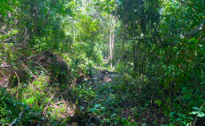 Lote de terreno en venta Chunox Sarteneja Road. Foto#5