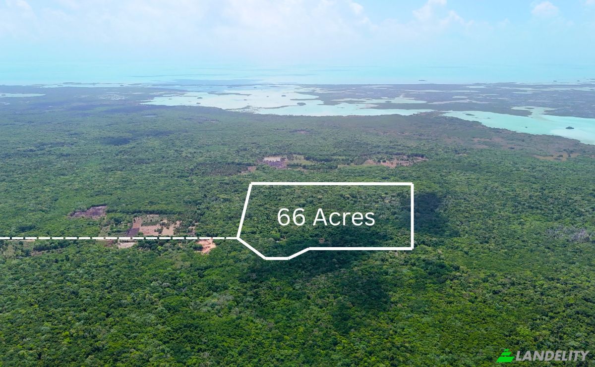 Land Lot for Sale Bandera Rd, Sarteneja, Corozal District, Belize. Photo 1