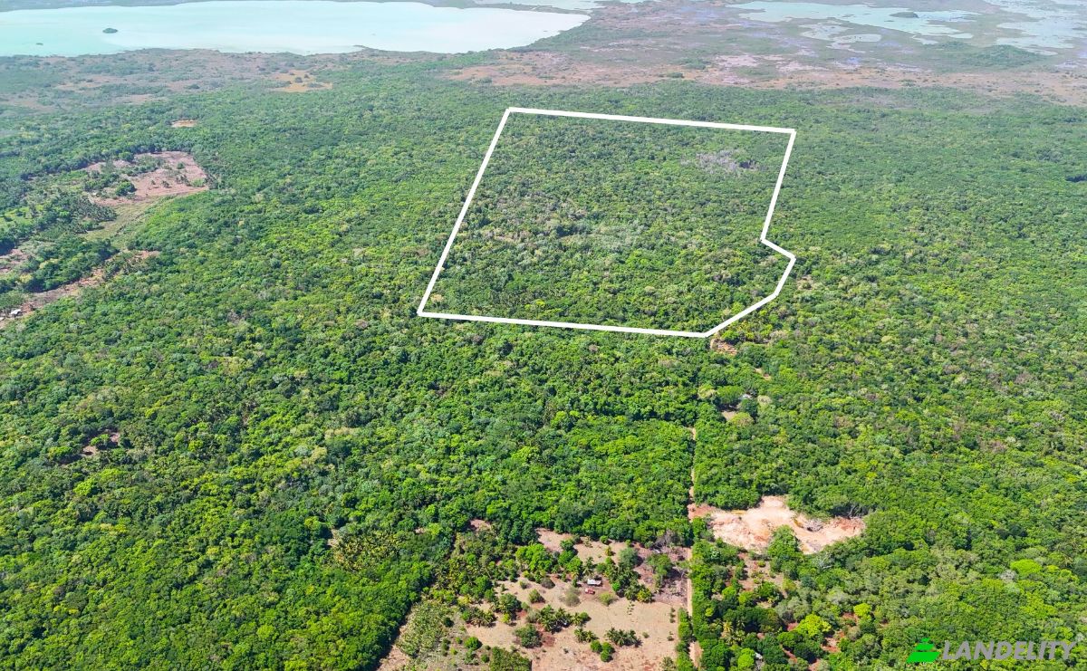 Land Lot for Sale Bandera Rd, Sarteneja, Corozal District, Belize. Photo 3