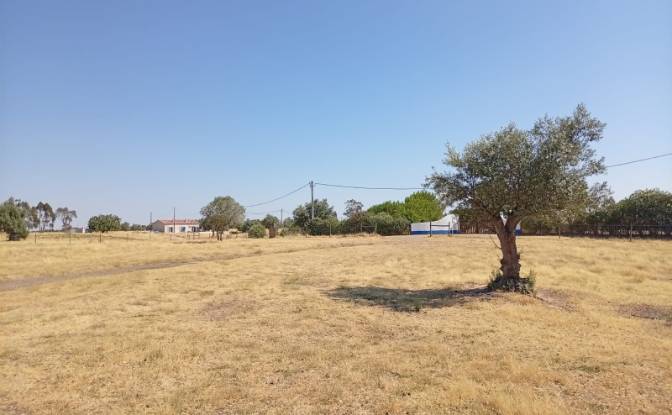 Land Lot for Sale 7900 Ferreira do Alentejo. Photo#10