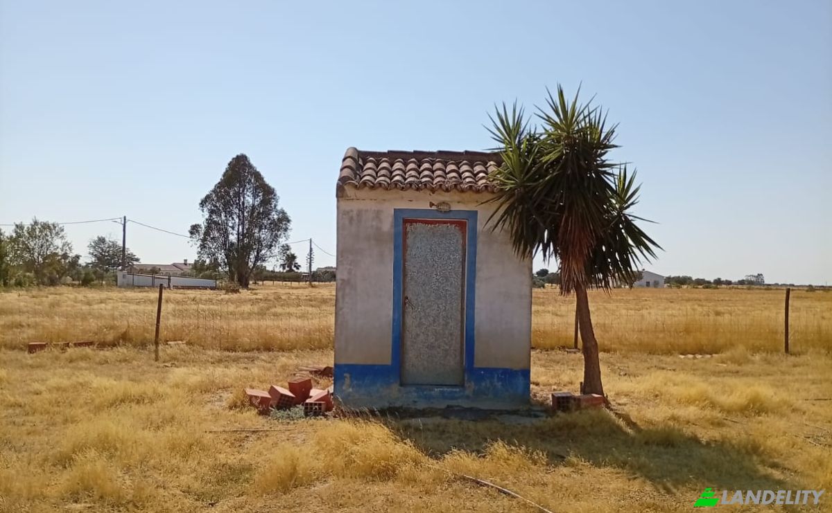 Land Lot for Sale 7900 Ferreira do Alentejo, Ferreira do Alentejo, Beja District, Portugal. Photo 1