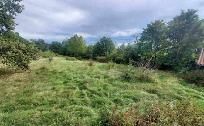 Farm/Ranch for Sale 125 Chem du Ramier. Photo#7