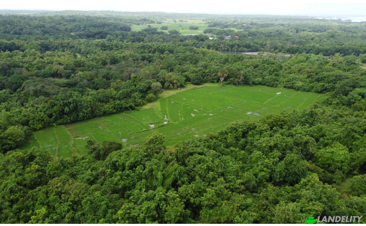 Investing/Development for Sale Palauig, Zambales, Central Luzon, Philippines. Photo 1