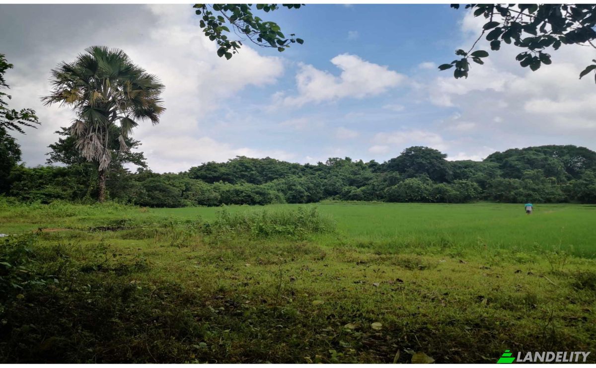 Investing/Development for Sale Palauig, Zambales, Central Luzon, Philippines. Photo 10