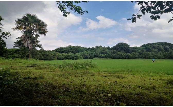 Investing/Development for Sale Palauig, Zambales. Photo#10